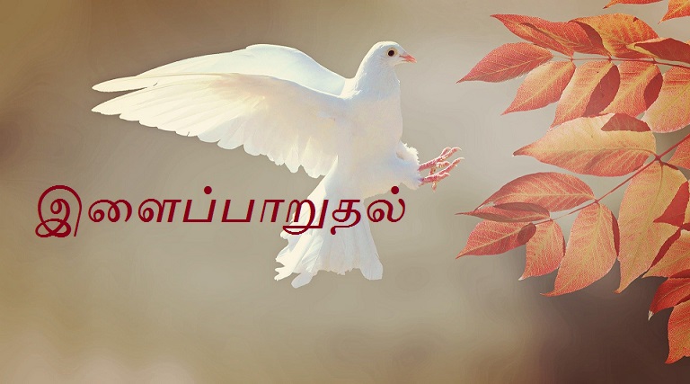 ilayparudal
