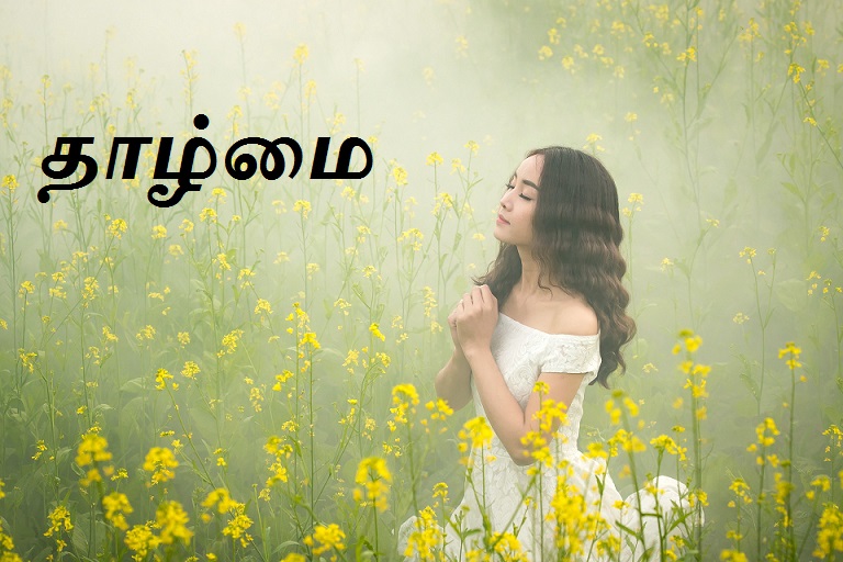 thalmai